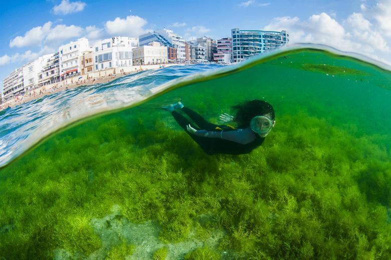 Pension Sea Of Clouds Las Palmas de Gran Canaria Luaran gambar